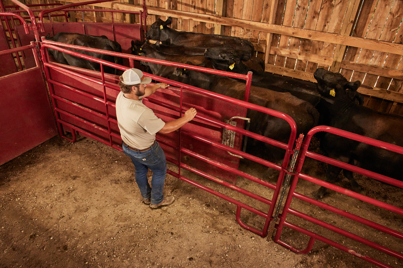 180° CattleMaster Sheeted Sweep System – Raven Rock Livestock