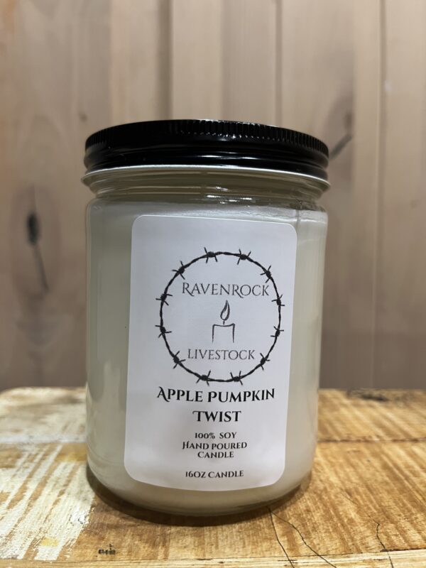 Apple Pumpkin Twist